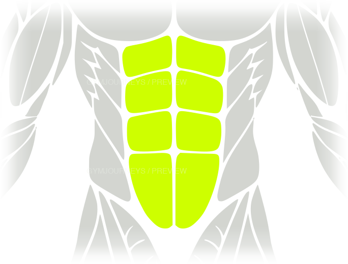 Abs body-context muscle icon