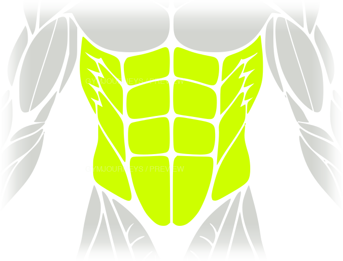 Core body-context muscle icon