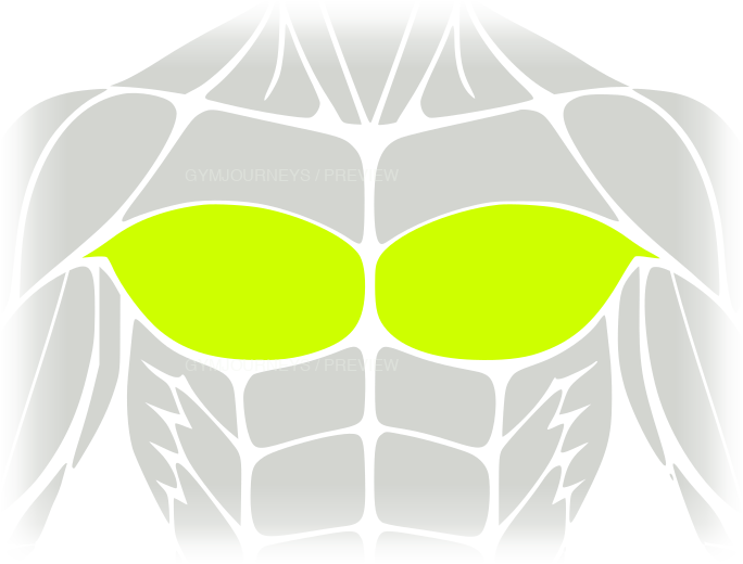 Lower chest body-context muscle icon
