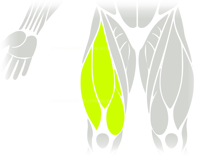Quads body-context muscle icon