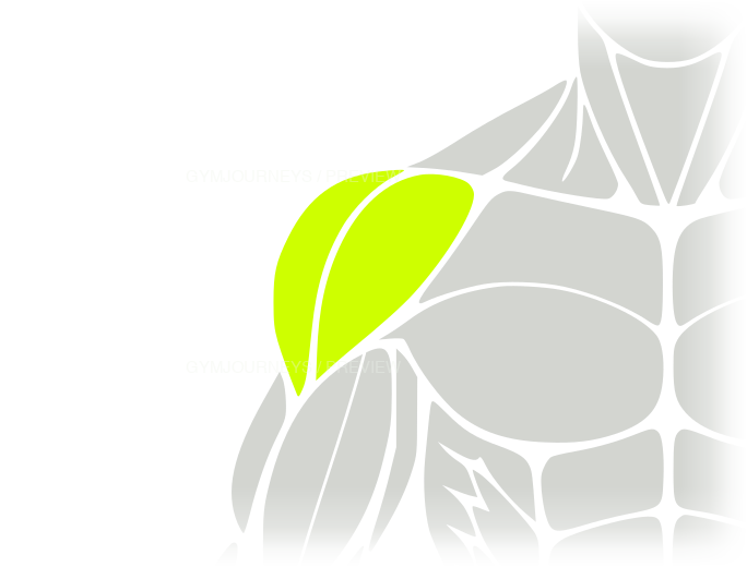 Shoulders body-context muscle icon