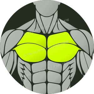 Circle chest thumbnail